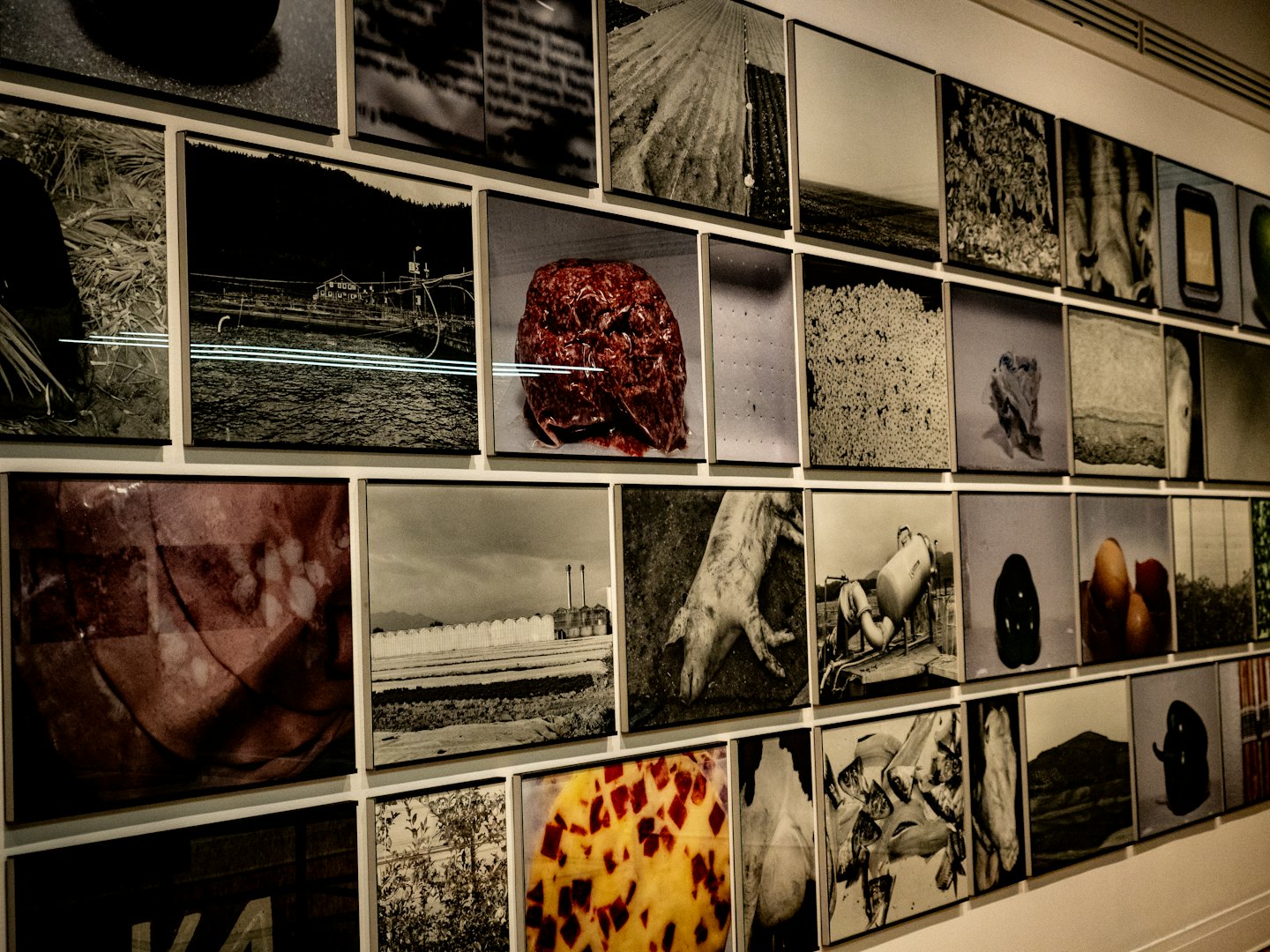 A gallery wall displays many framed photographs in a grid.